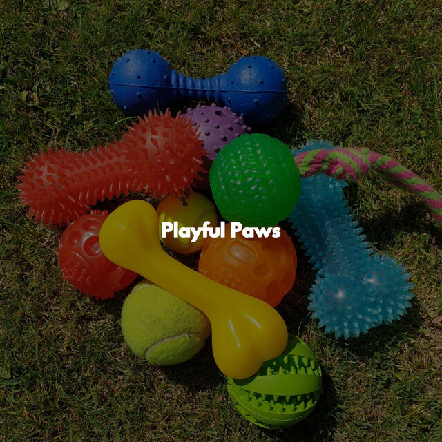 Playful Paws