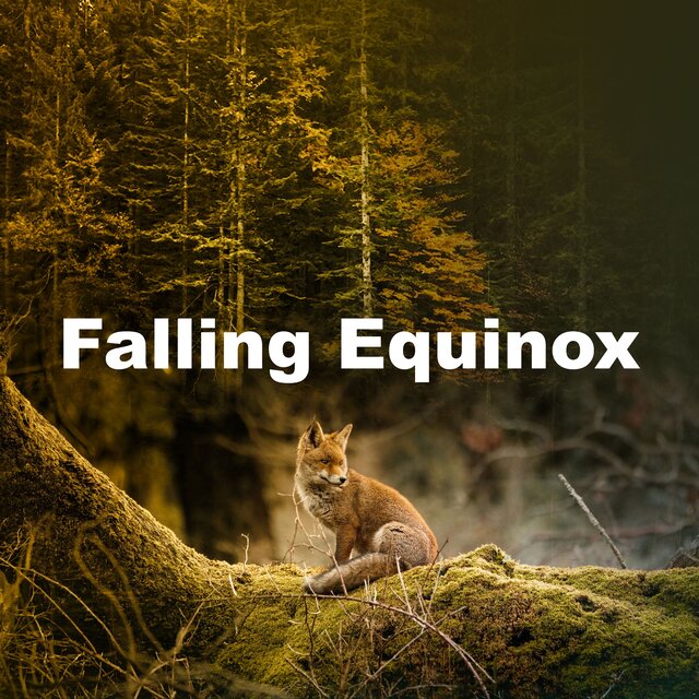 Falling Equinox