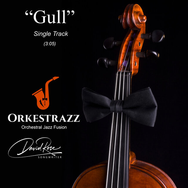 Gull