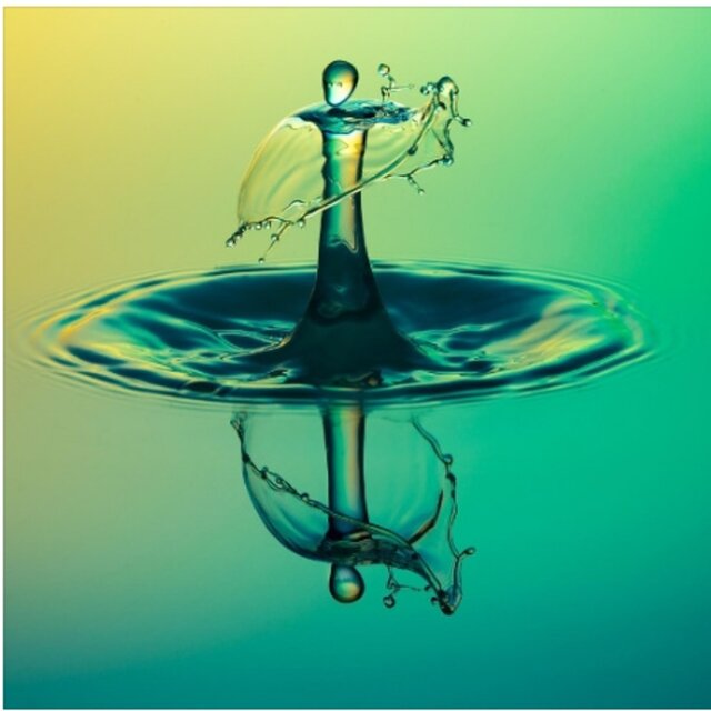 Aquatic