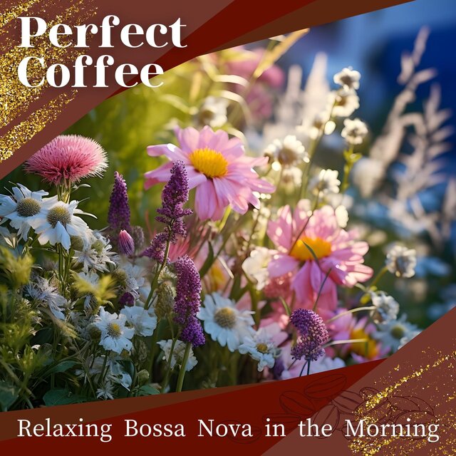 Relaxing Bossa Nova in the Morning