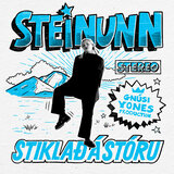 Stiklað á stóru