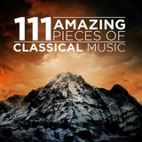 Concerto for 2 Violins in D Minor, BWV 1043: I. Vivace
