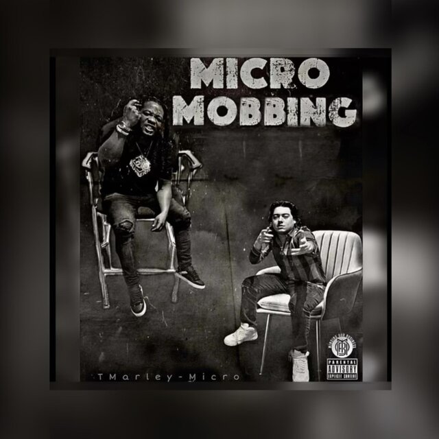 Micro Mobbing