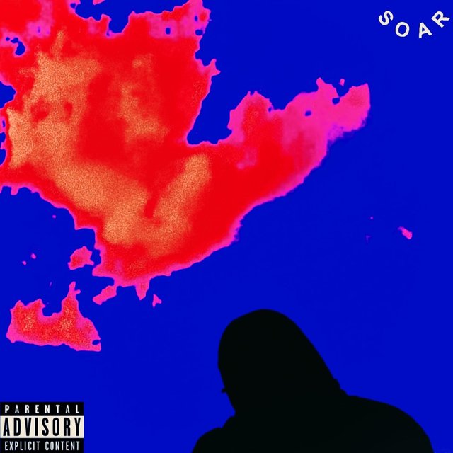 Soar