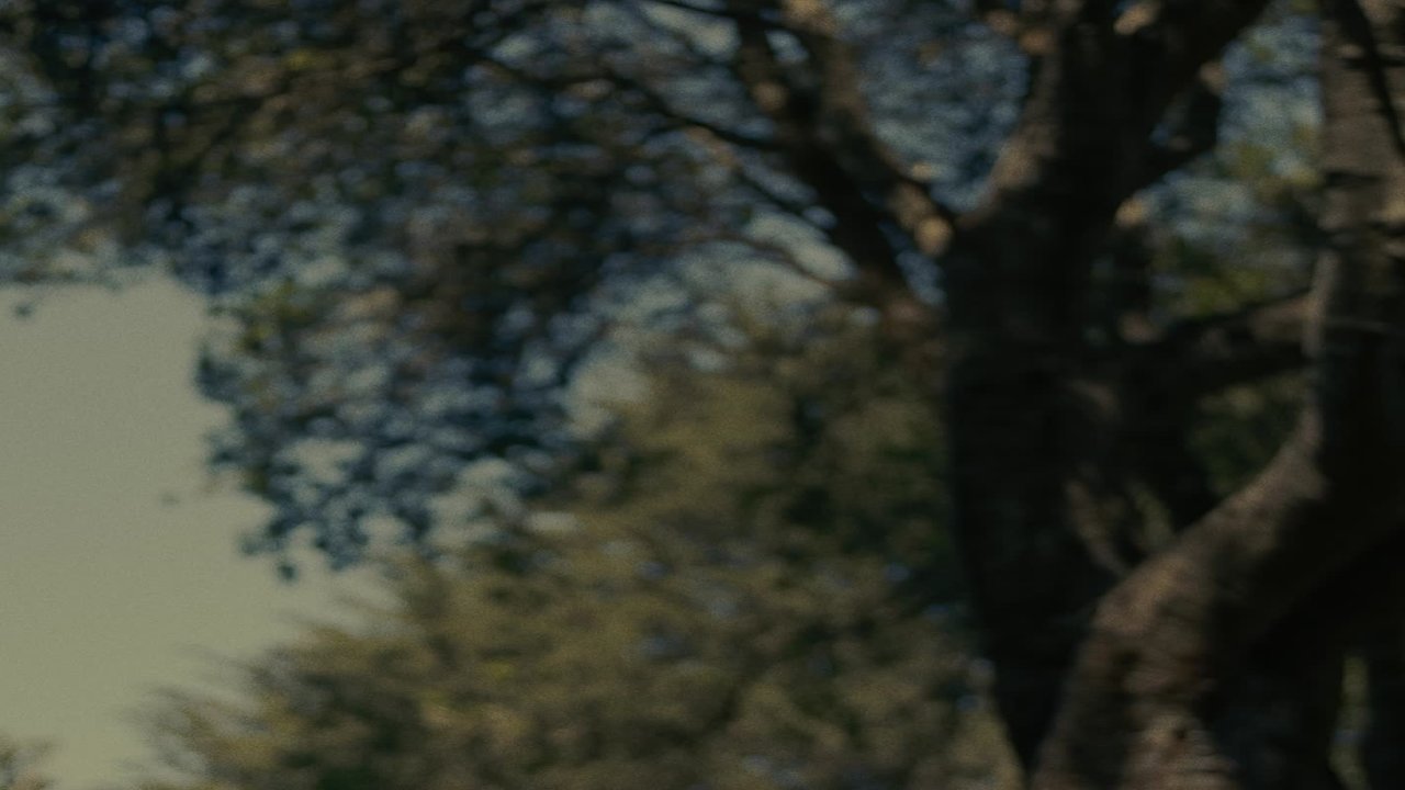 Continue Watching  (feat. Janel Chanté)