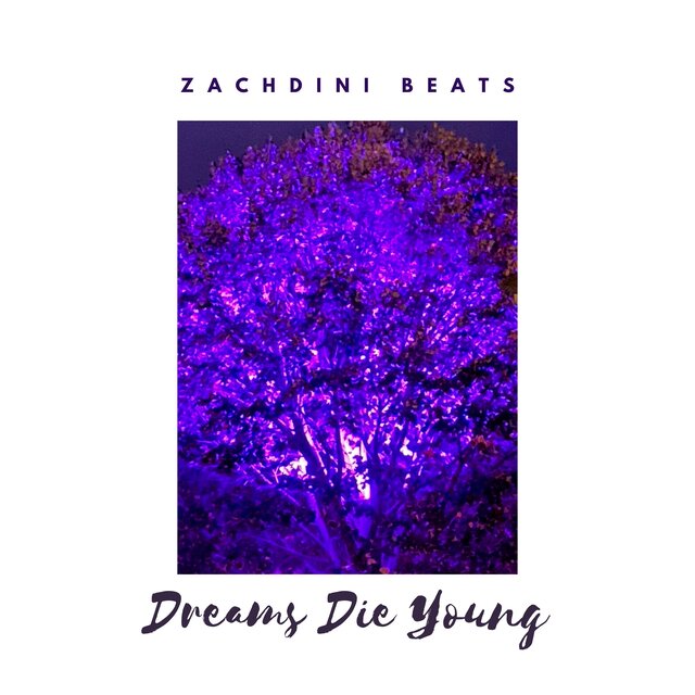 Dreams Die Young