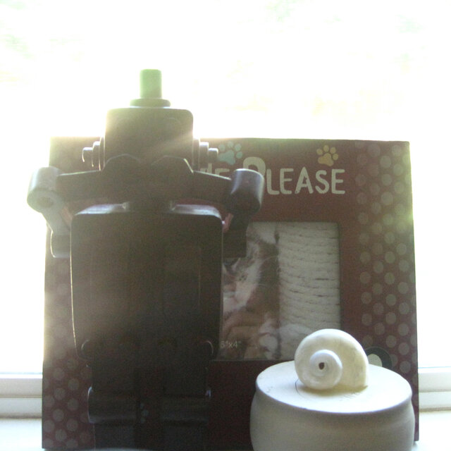 seashell and robot