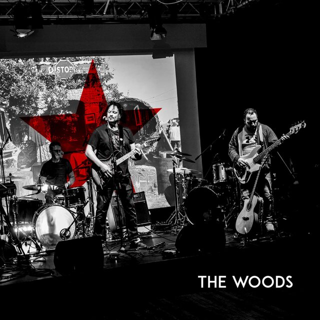 The Woods