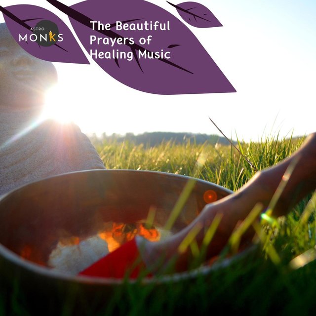 Cover art for album  by Yogsutra Relaxation Co