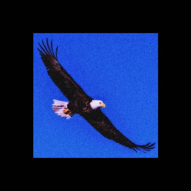 The Eagle