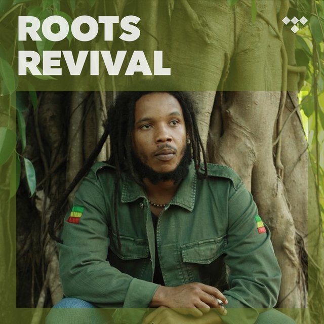 Cover art for album Roots Revival by TIDAL