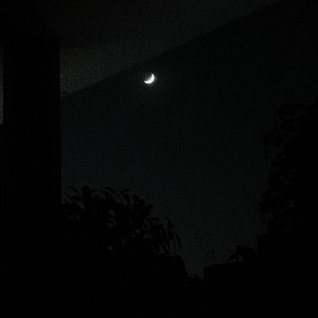 Shadows will Scream