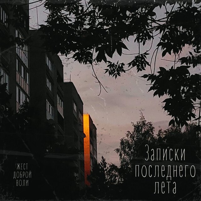 Записки последнего лета