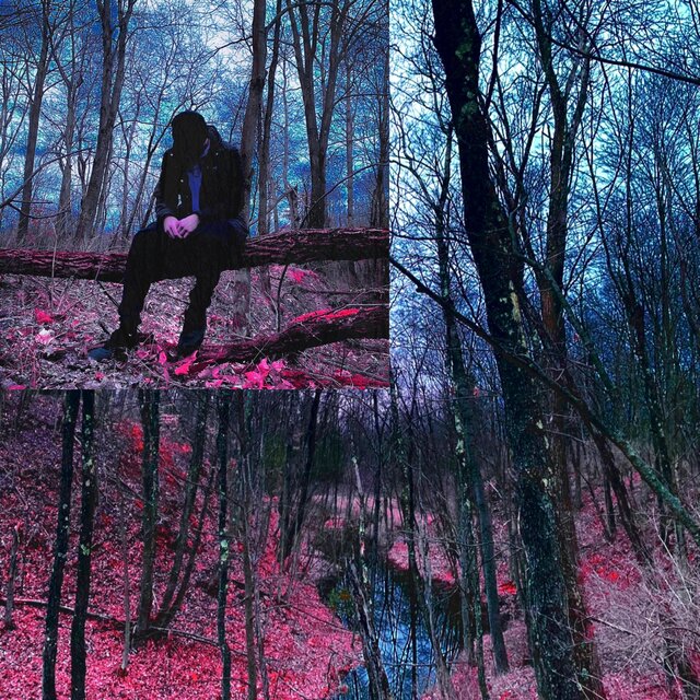 in my dreams