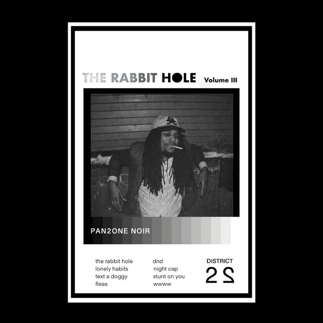 THE RABBIT HOLE
