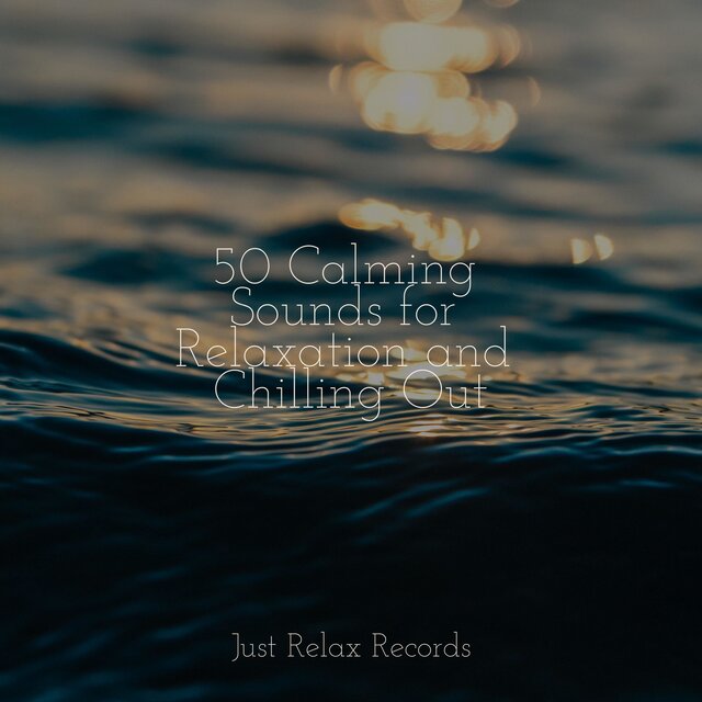 50 Calming Sounds for Relaxation and Chilling Out by Música Para ...