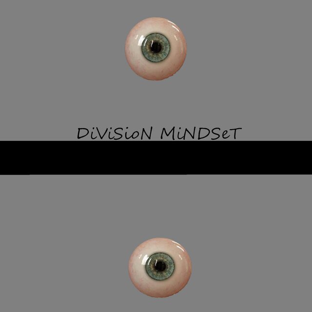 DiViSioN MiNDSeT