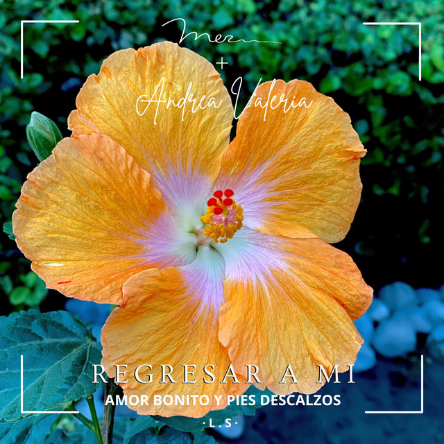 Regresar a Mi (Amor Bonito y Pies Descalzos)
