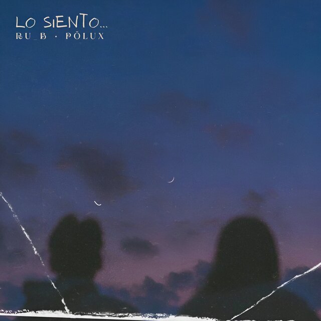 Lo Siento ...