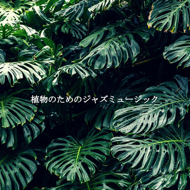植物のためのジャズミュージック