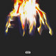 Cover art for album FWA by Lil Wayne