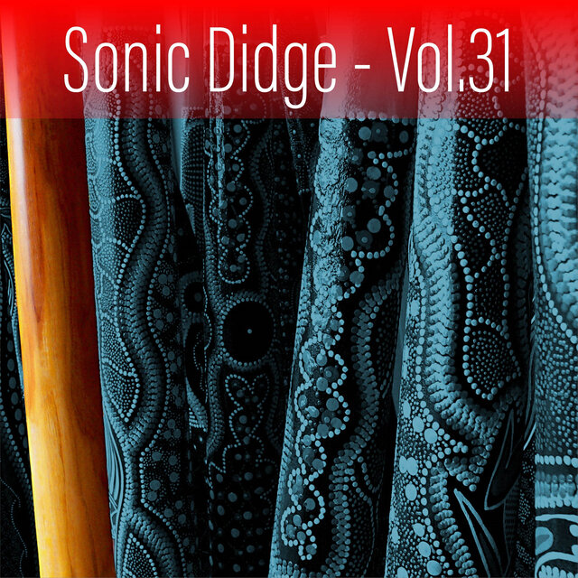 Sonic Didge, Vol. 31