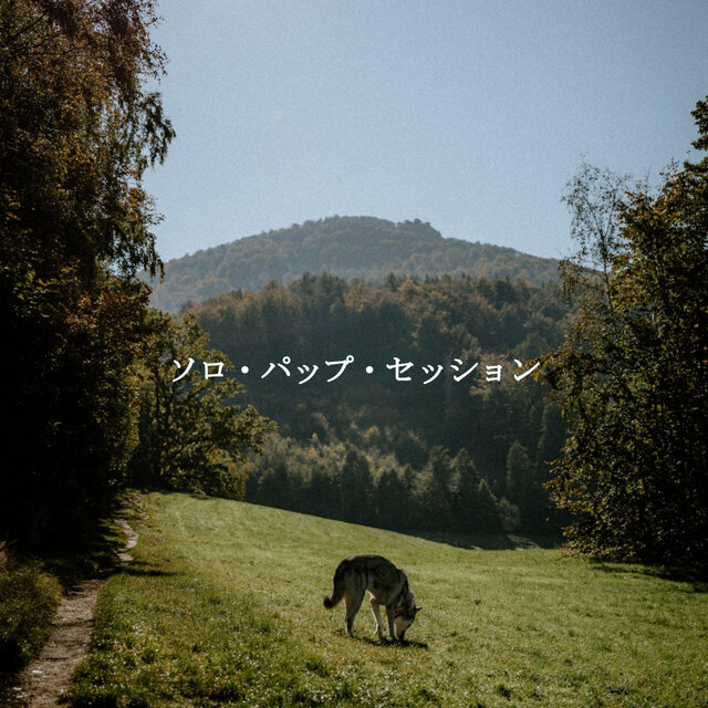 ソロ・パップ・セッション