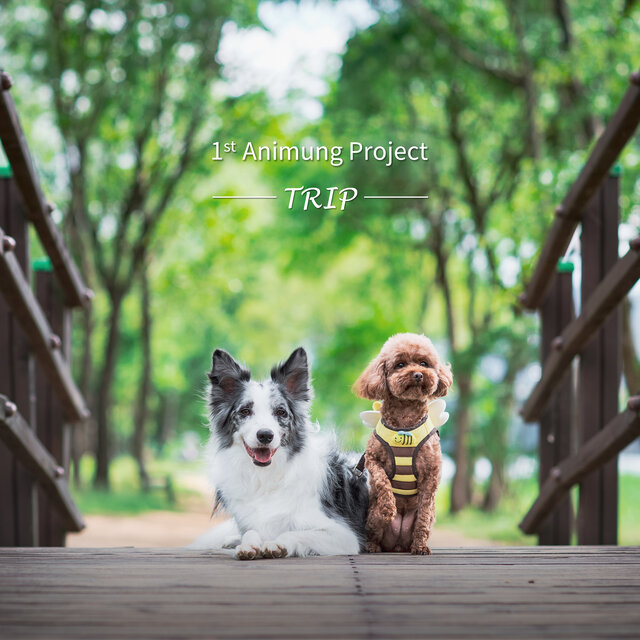 애니멍 프로젝트 Trip (1st Animung Project Trip)