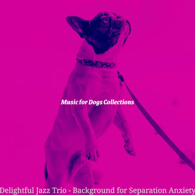 Delightful Jazz Trio - Background for Separation Anxiety