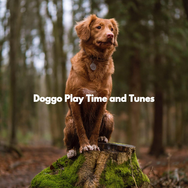 Doggo Play Time and Tunes