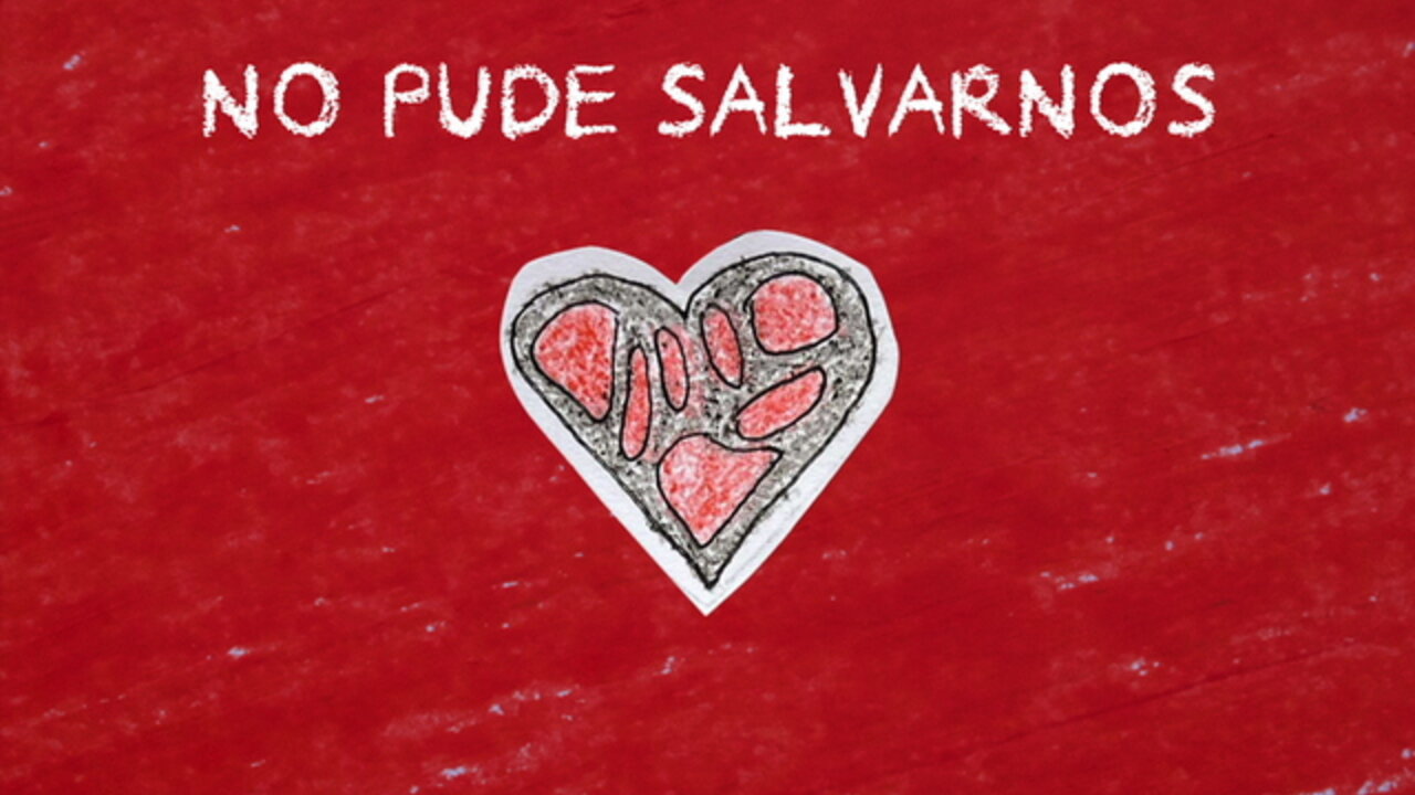 NO PUDE SALVARNOS (Lyric Video)
