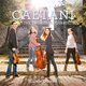 Cover art for album Caetani: The Two String Quartets by Alauda Quartet