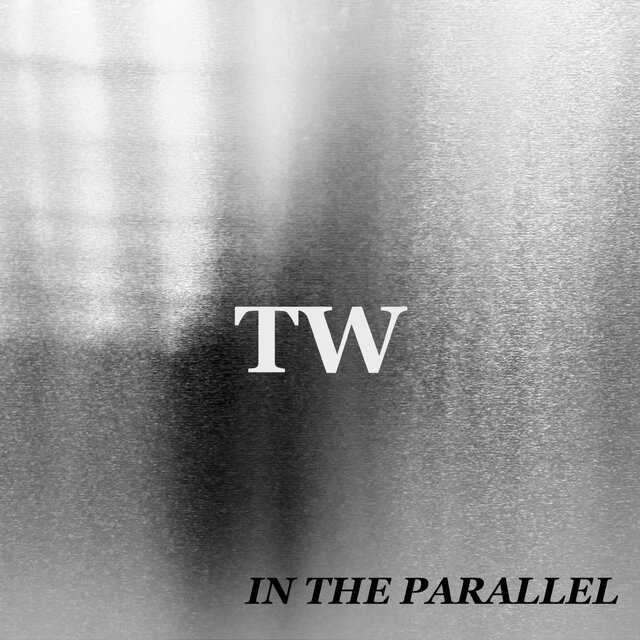 IN THE PARALLEL