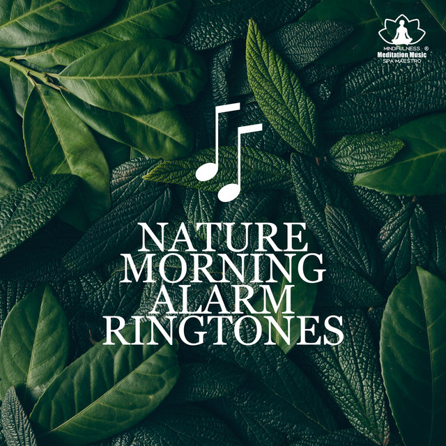 Nature Morning Alarm Ringtones: Birds, Rain & Ocean Waves