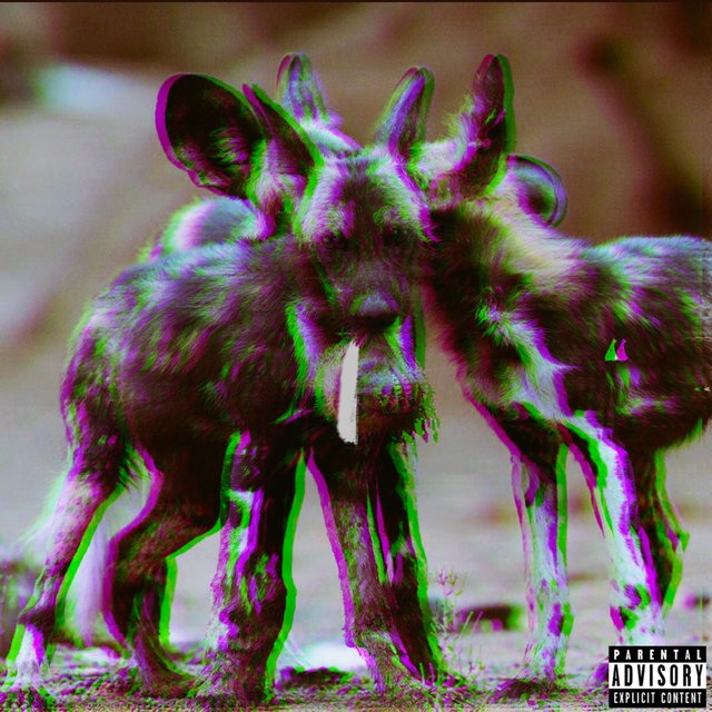 Bad Breed