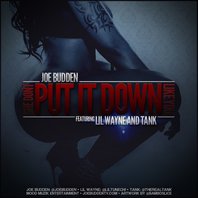 She Don't Put It Down feat. Lil Wayne, Tank
