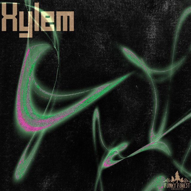 Xylem