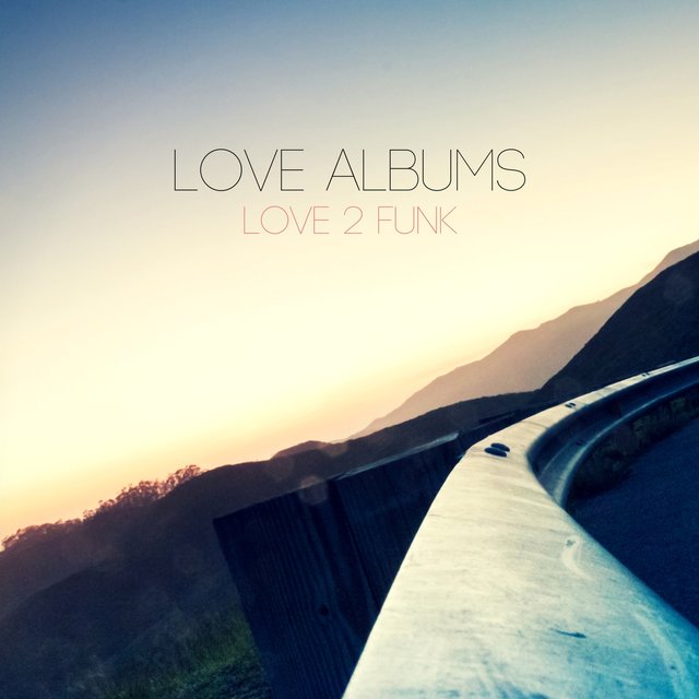 Love 2 Funk