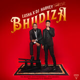 Bhudiza (feat. TA MusiQ, Citykingrsa, JFS Music, Blvcknavy, Deeray)