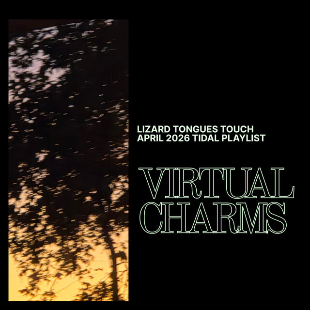 Cover art for album lizard tongues touch : virtual charms by User