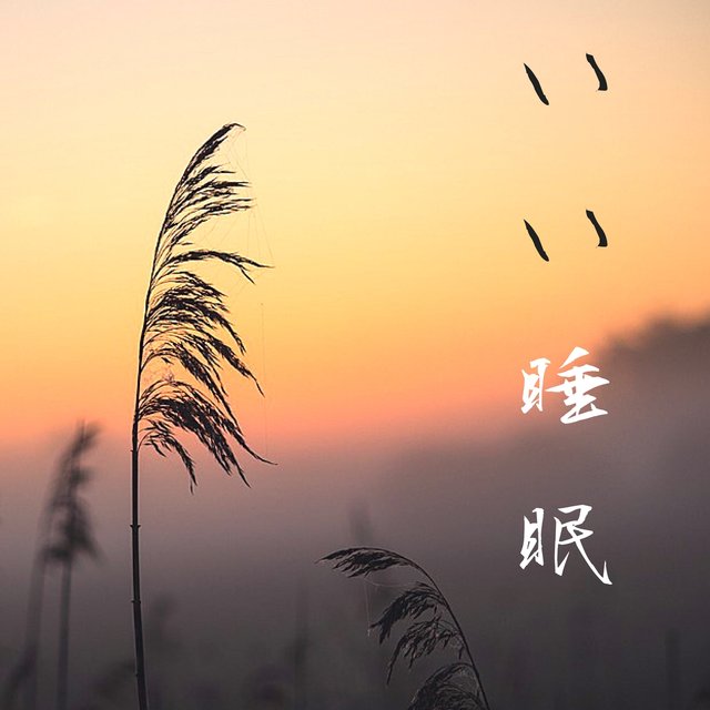 いい睡眠 ・ アーユルヴェーダ音楽療法