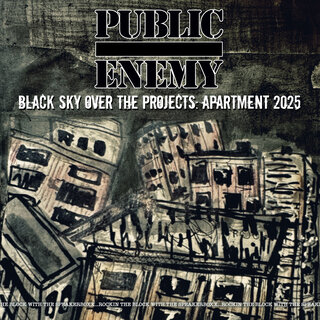 Public Enemy - TIDAL