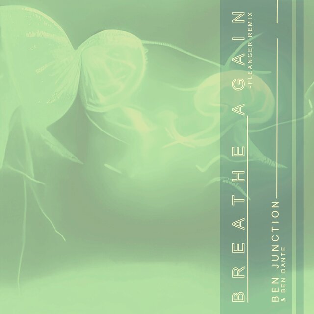 Breathe Again (Fleanger Remix)