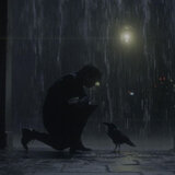 RAVEN