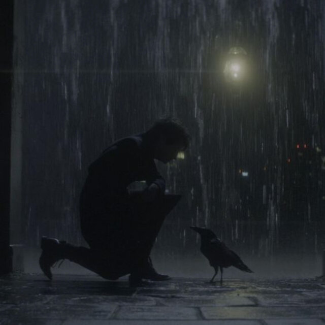 RAVEN