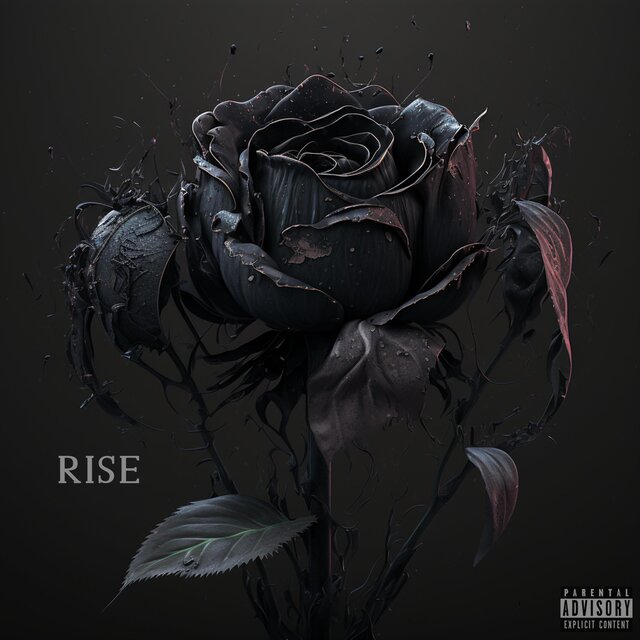 Rise