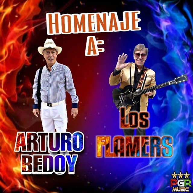 Homenaje A Los Flamers