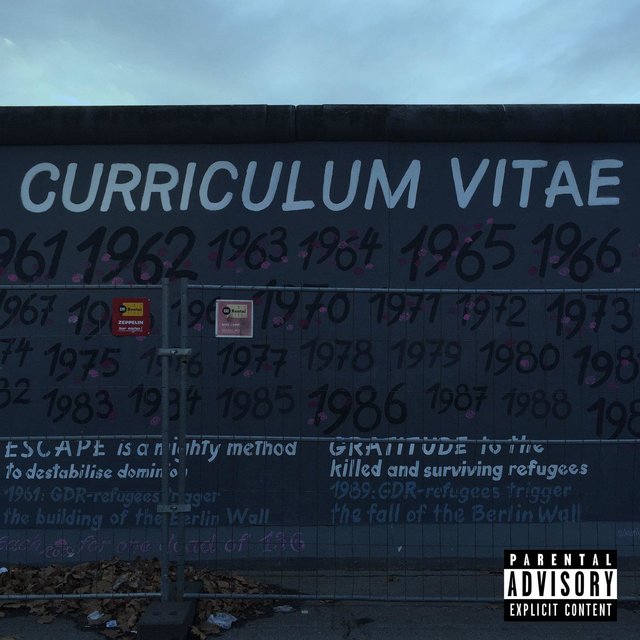Curriculum Vitae