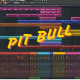 Pit Bull